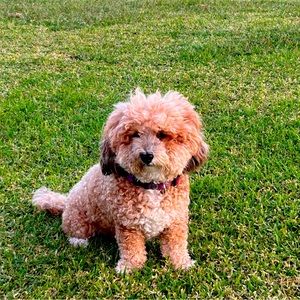 Thanks for stopping by!